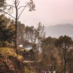 Сколько стоит купить диплом с реестром image_1111-141.jpg