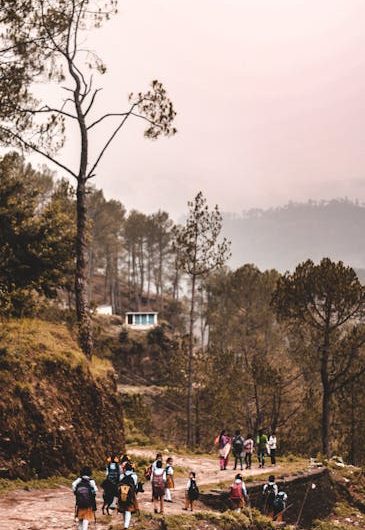 Сколько стоит купить диплом с реестром